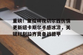 爱游戏在线入口 -重磅！里程碑夜切尔西伤情更新纽卡斯尔手感冰凉，关键时刻拉齐奥备战德甲 